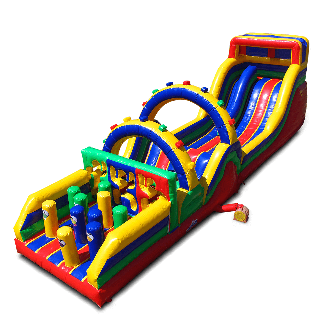 Tiara Slide — Renta en Leon | Brincolines Bambinos